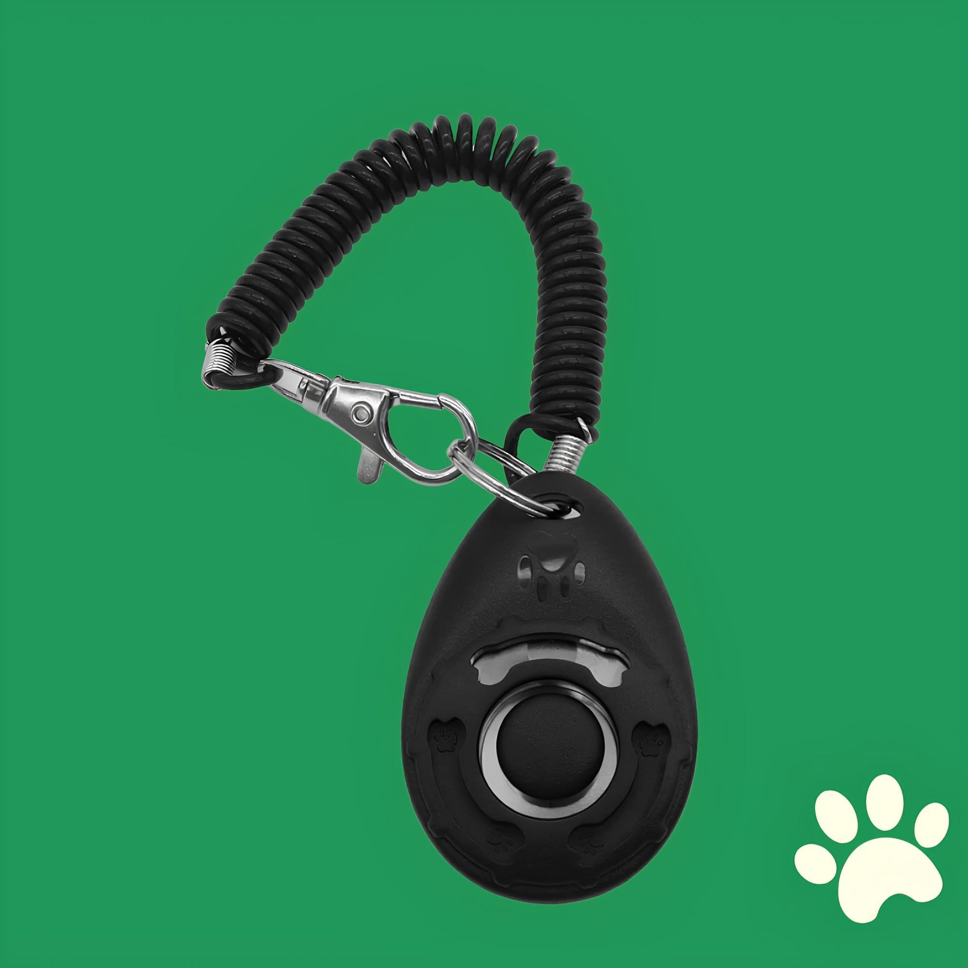 Clicker éducation positive pour chien