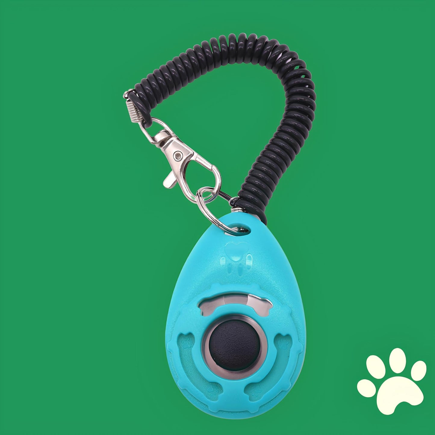 Accessoire pour apprendre les ordres à son chien