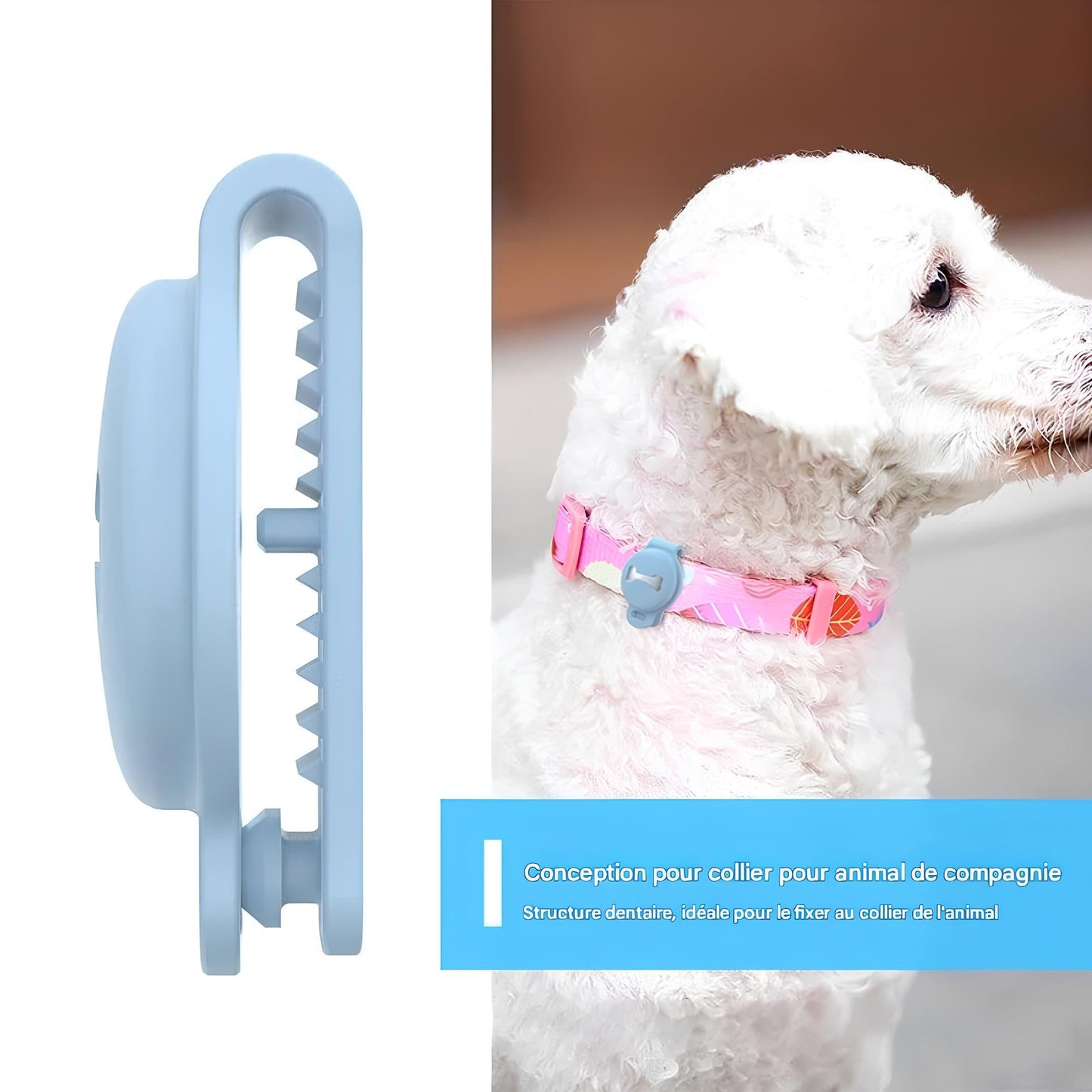Collier GPS intelligent pour chiens et chats, modèle bleu